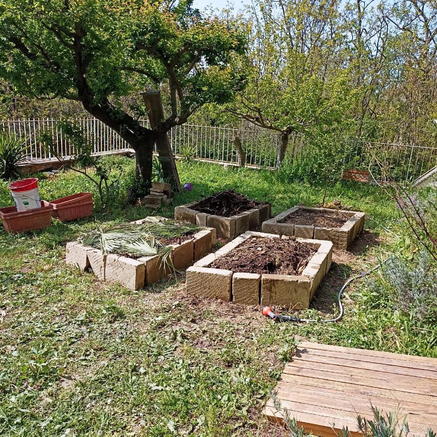 Ripe'S Forest Garden Guest House Roma Eksteriør bilde