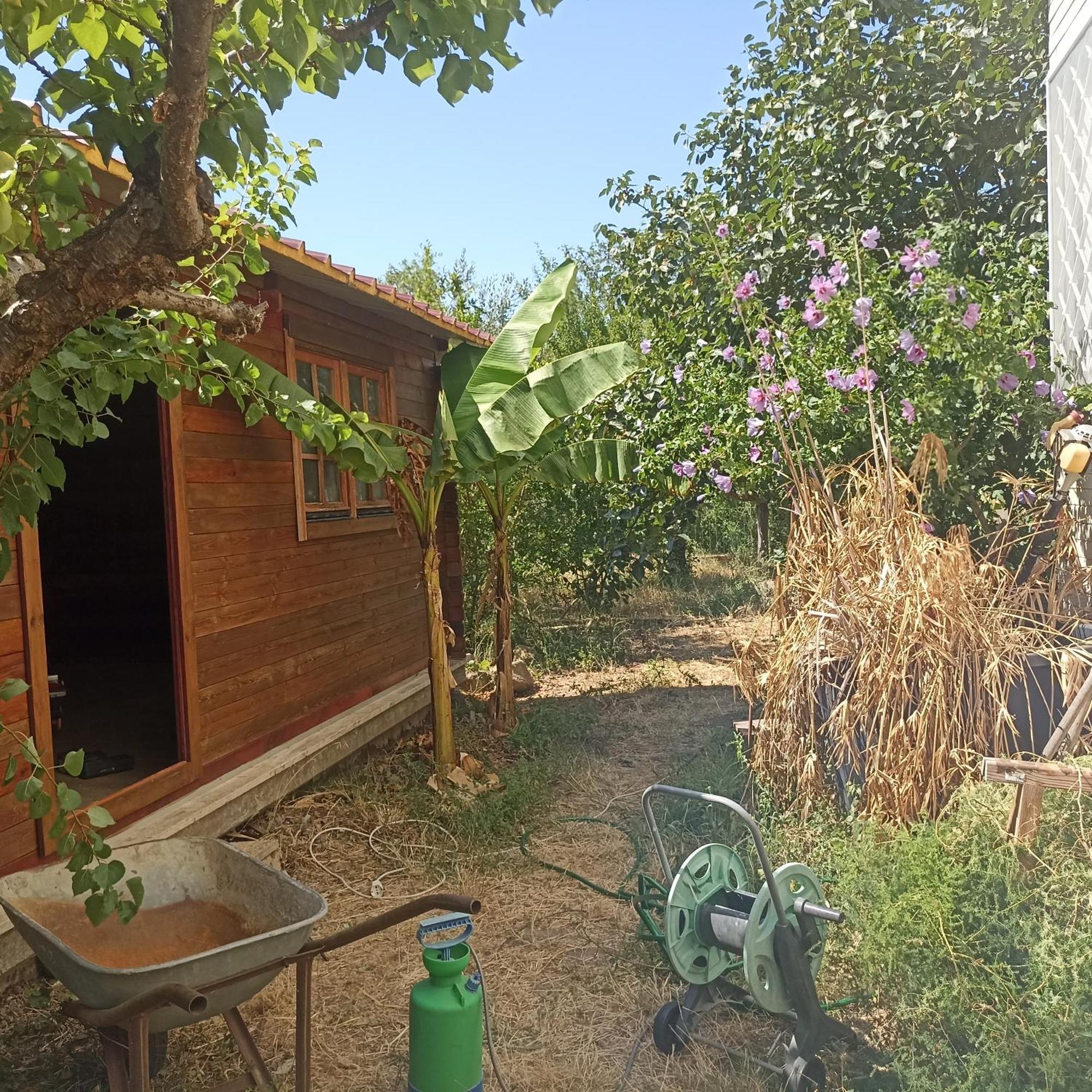 Ripe'S Forest Garden Guest House Roma Eksteriør bilde